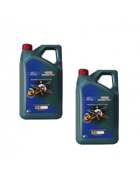 Castrol Magnatec (Ford)...