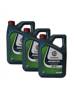 Castrol Magnatec 5W20 E...