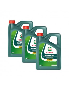 Castrol Magnatec 5W30 C2 4L...