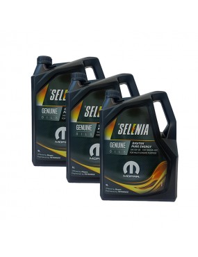Selenia Digitek Pure Energy...