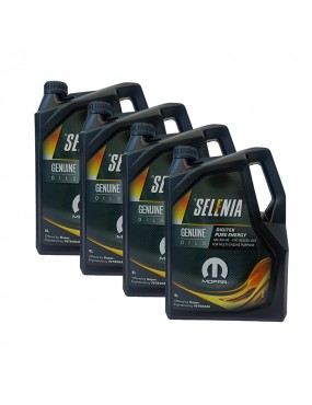 Selenia Digitek Pure Energy...