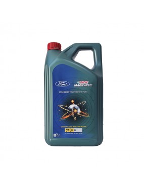 Castrol Magnatec 5W30 A5...