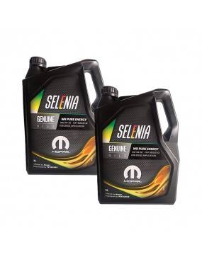 Selenia WR Pure Energy 5W30...