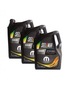 Selenia WR Pure Energy 5W30...