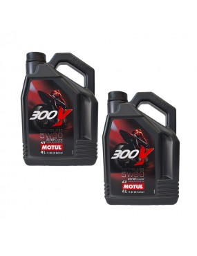 Motul 300V FL Road Racing...