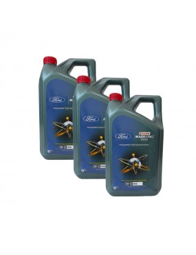 Castrol Magnatec (Ford)...