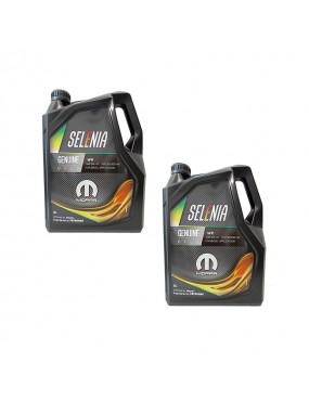 Selenia WR 5W40 5L OFERTA X2