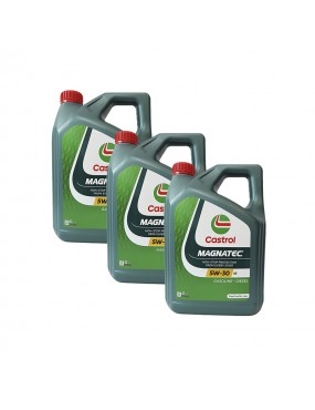 Castrol Magnatec 5W30 A5...